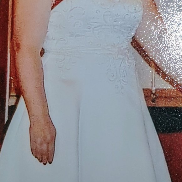 Sz 14 Alfred Angelo Claret/Ivory Wedding Dress - Picture 3 of 8